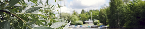 ../client/forssa/userfiles/original/USERscaled1304051728.png