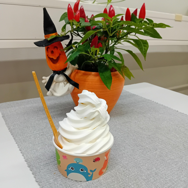 Pehmisannos pöydällä, taustalla oranssi kukkaruukku, jossa kurpitsakoriste.