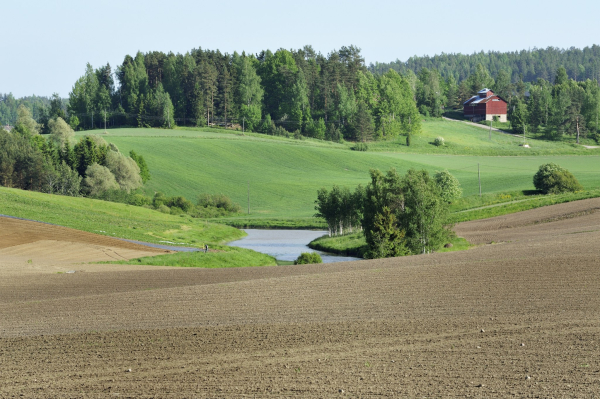 ../client/loimaa/userfiles/original/maisema-halikko-6.jpg